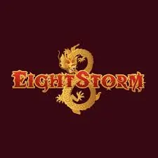 eightstorm logo