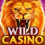 wild casino banner